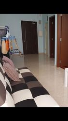 Suites @ Changi (D14), Apartment #498524211